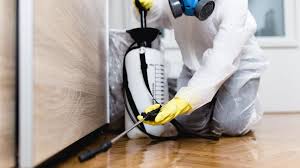 Best Emergency Pest Control  in Everett, WA